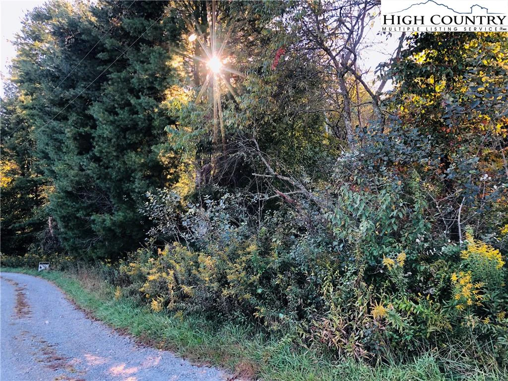 Image number 4 for the current listing