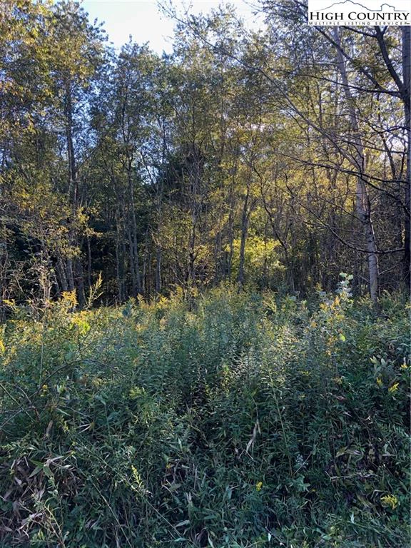 Image number 1 for the current listing