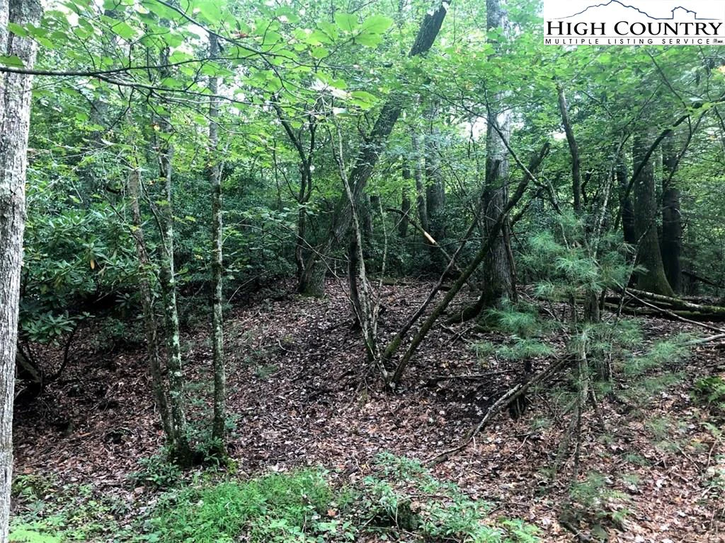 Image number 2 for the current listing