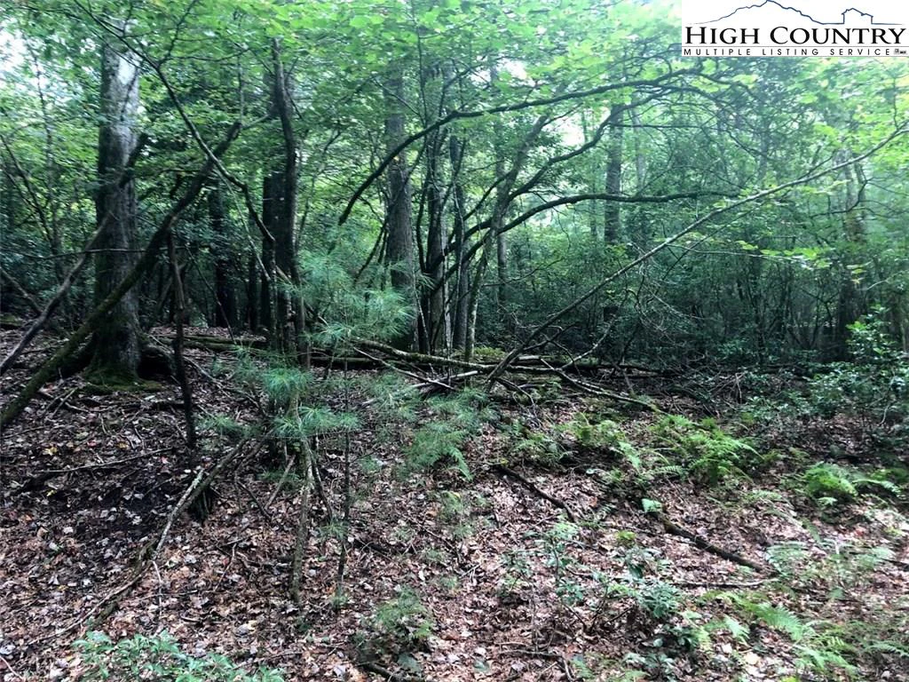 Image number 14 for the current listing