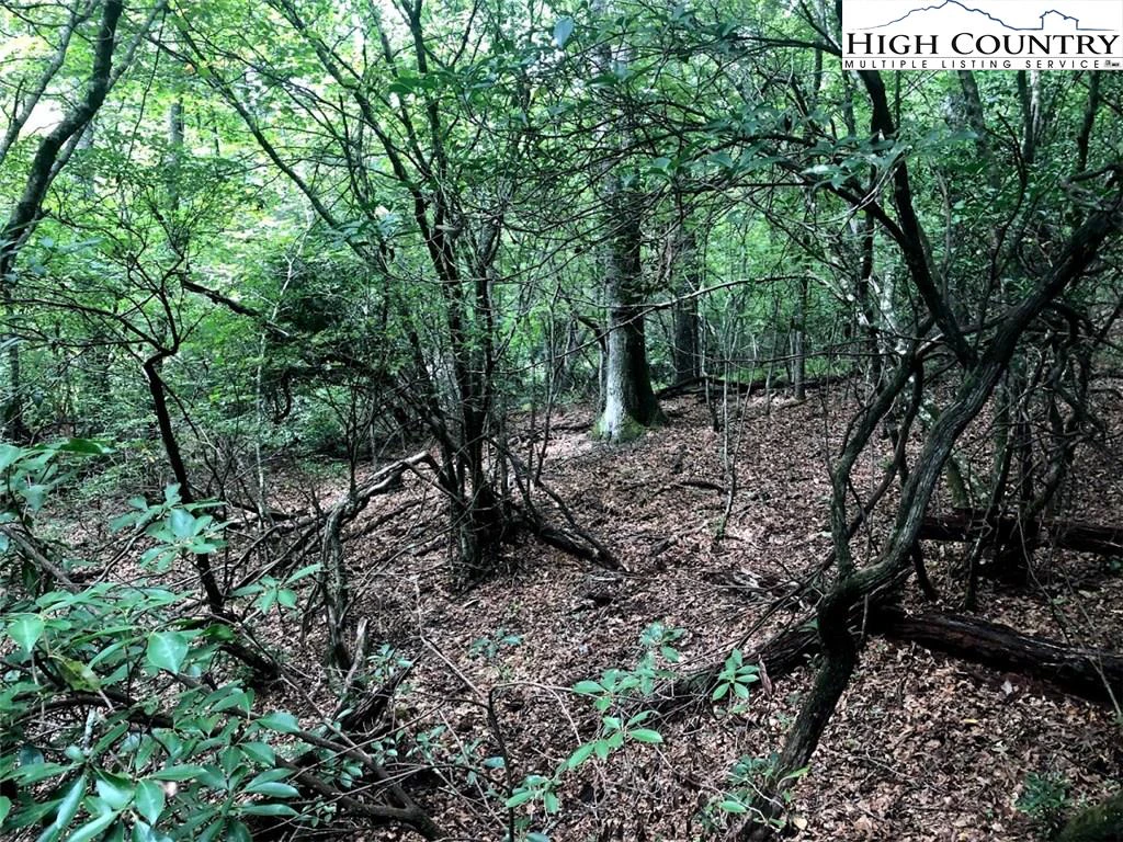 Image number 13 for the current listing