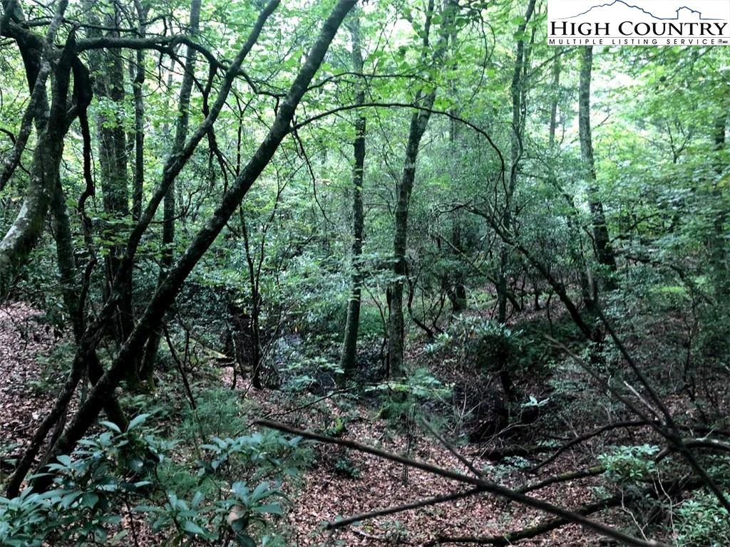 Image number 12 for the current listing