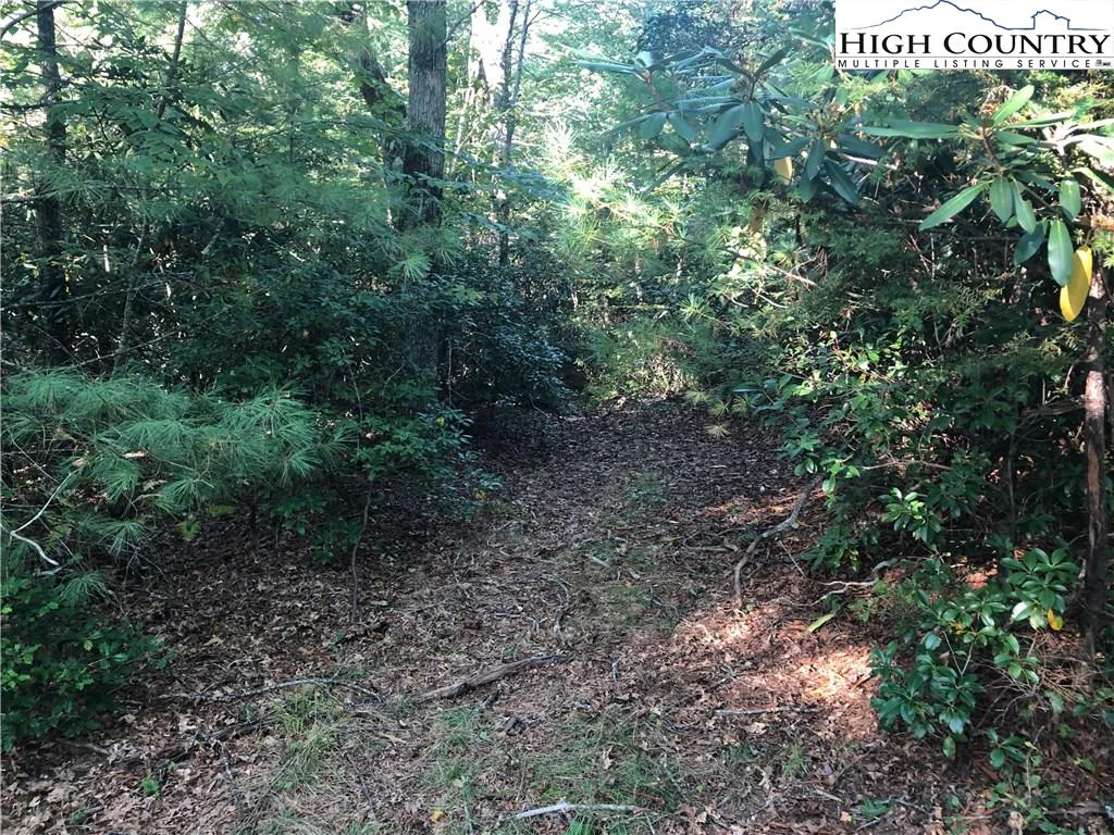 Image number 4 for the current listing
