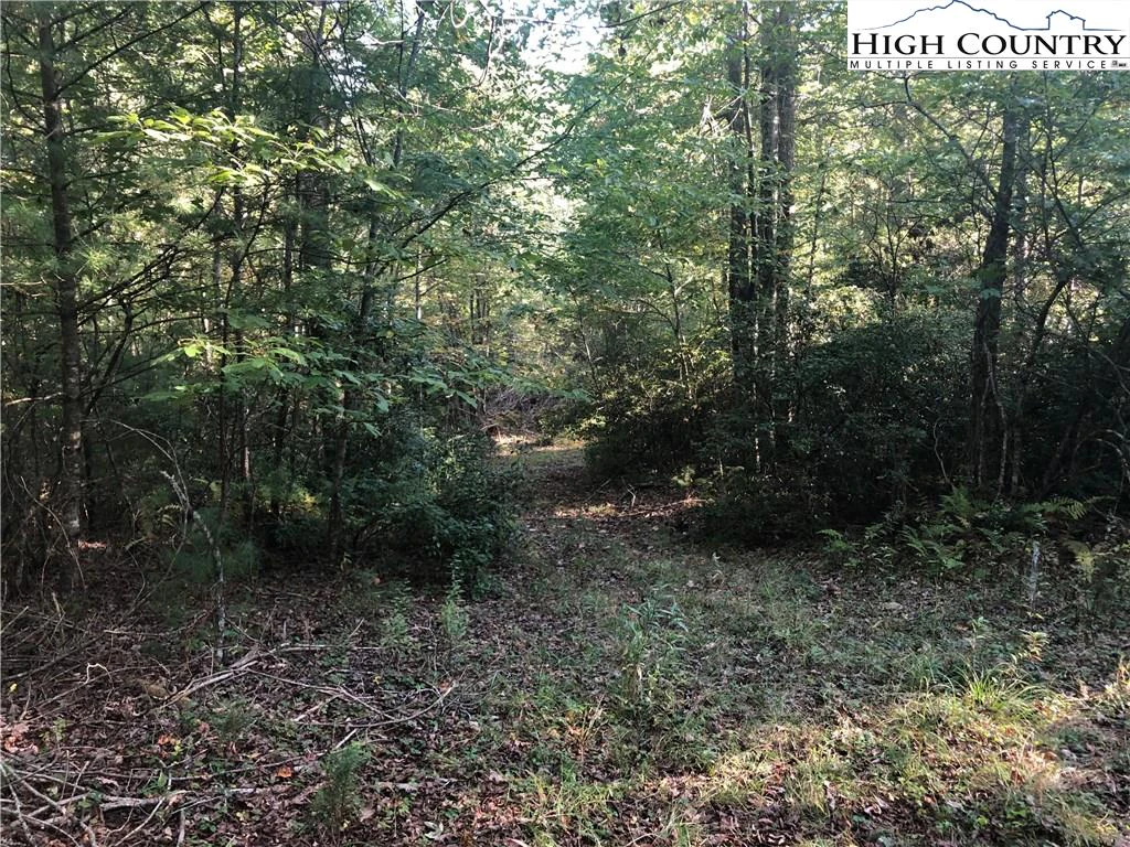 Image number 3 for the current listing