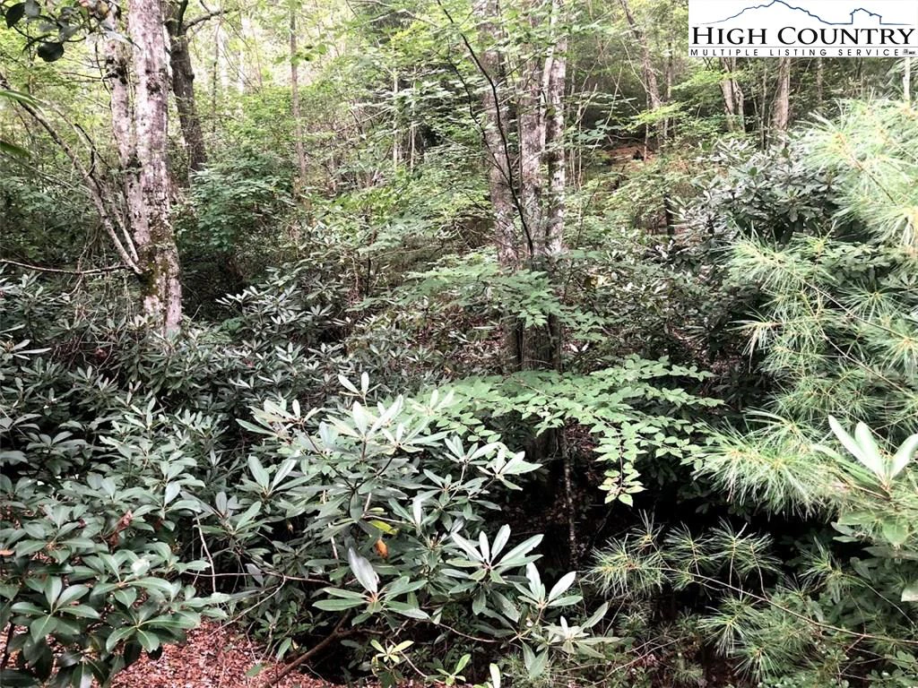 Image number 21 for the current listing