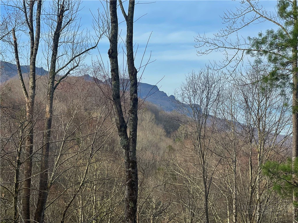 Image number 1 for the current listing