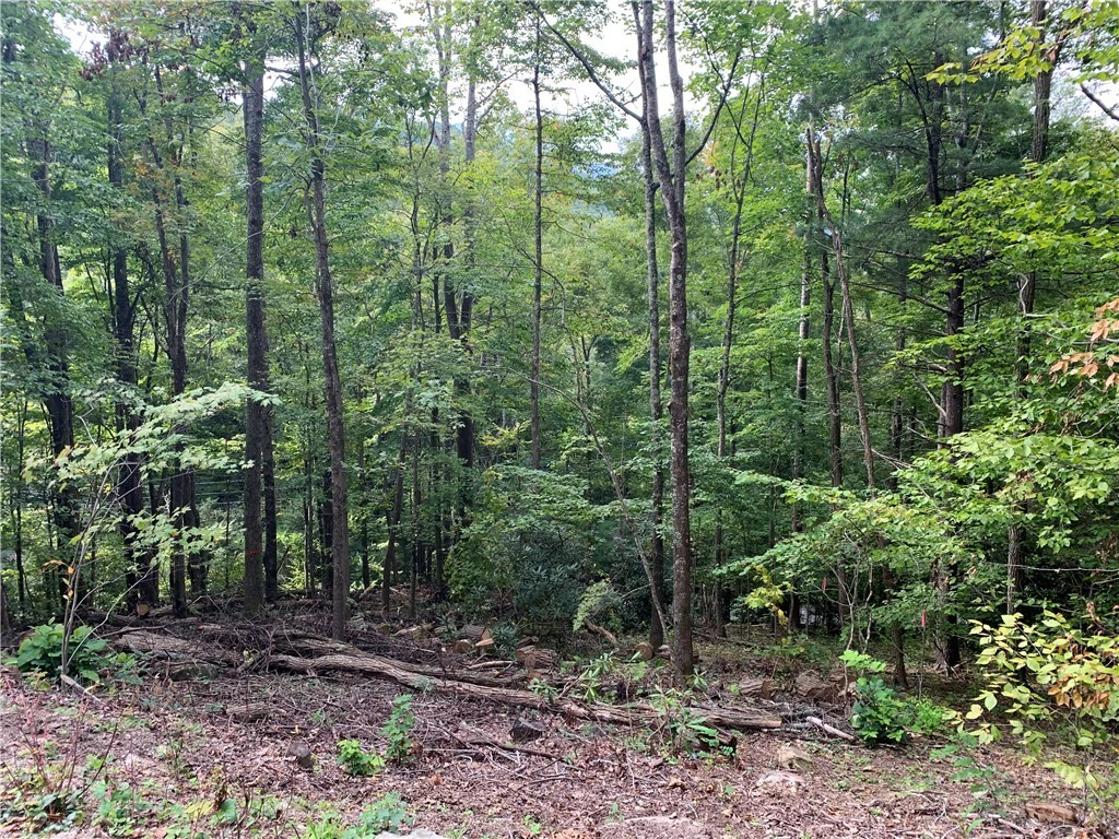 Image number 6 for the current listing
