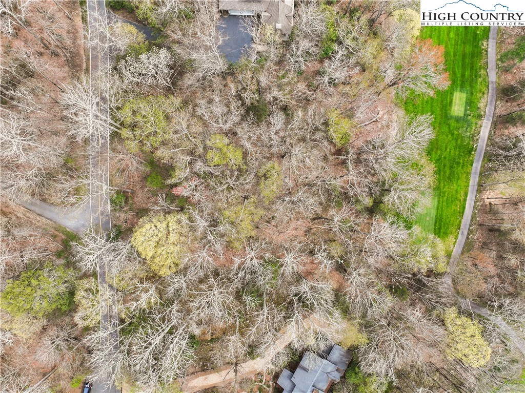 Image number 6 for the current listing