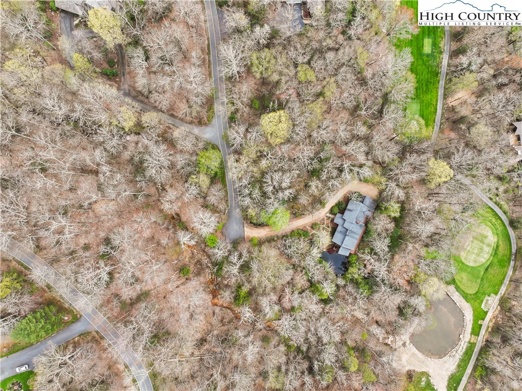 Image number 7 for the current listing