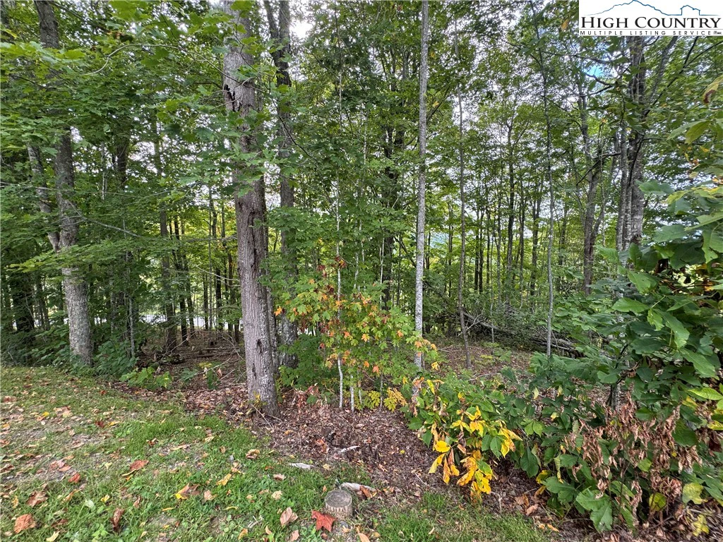 Image number 2 for the current listing