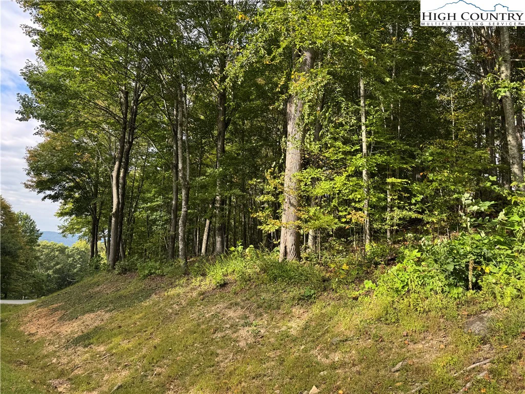 Image number 11 for the current listing