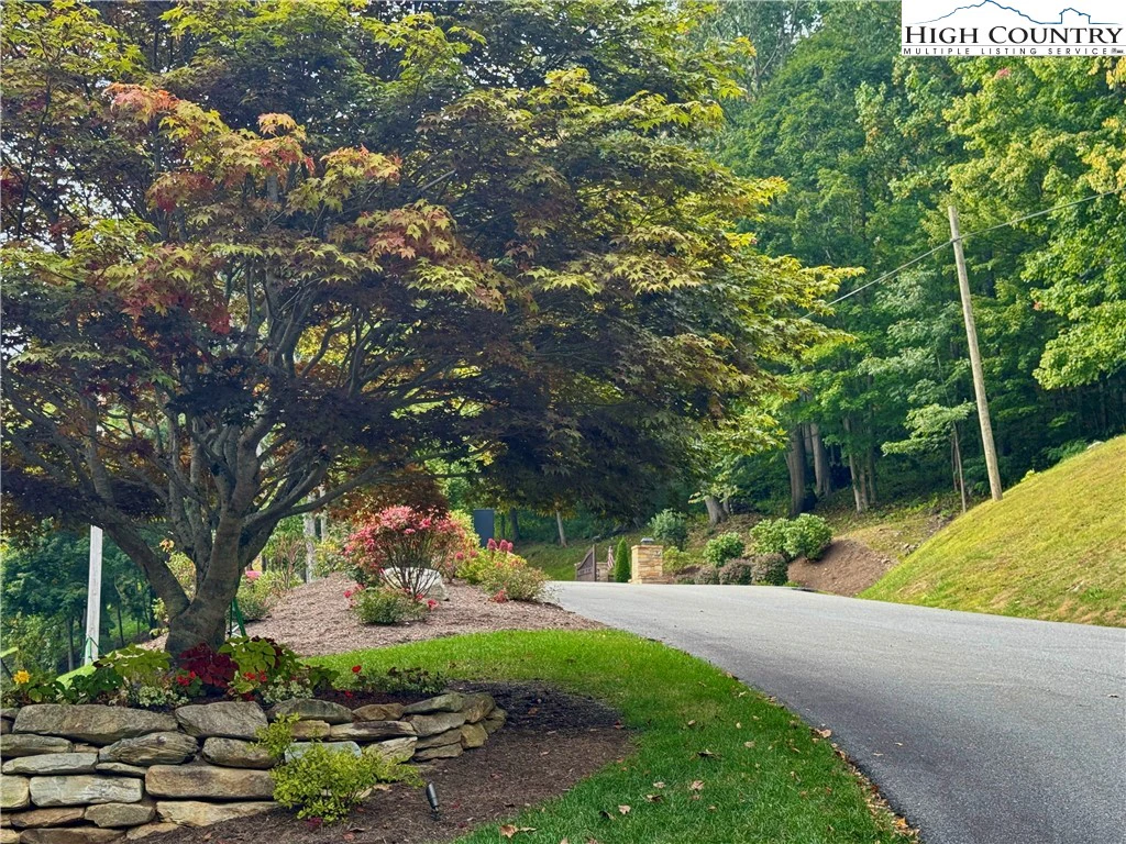 Image number 1 for the current listing