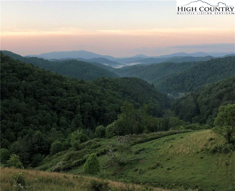 Image number 1 for the current listing