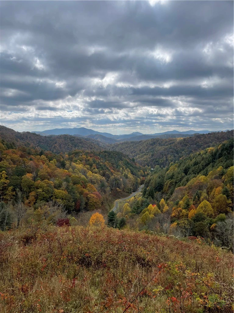Image number 1 for the current listing