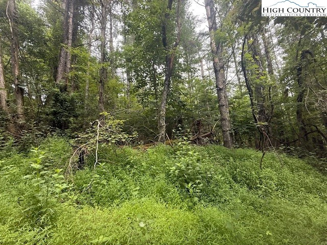Image number 6 for the current listing