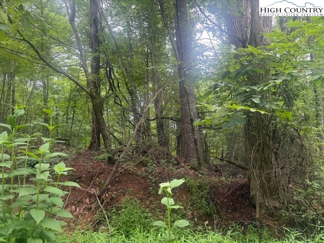 Image number 1 for the current listing