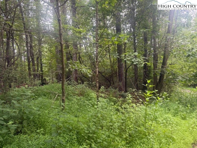Image number 3 for the current listing