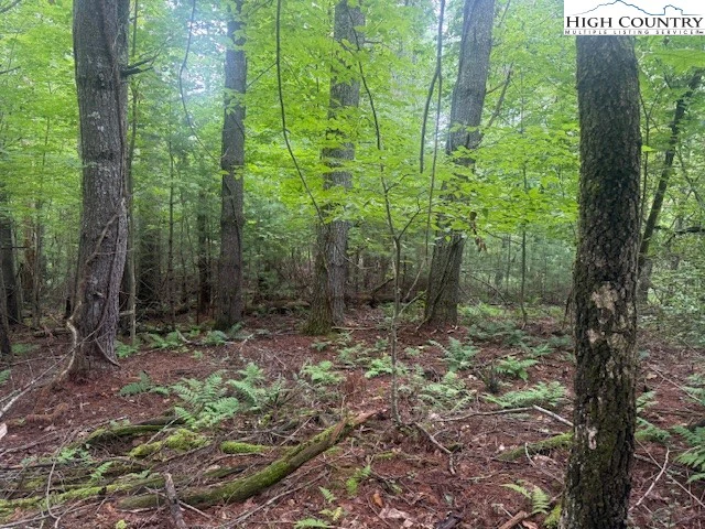 Image number 5 for the current listing