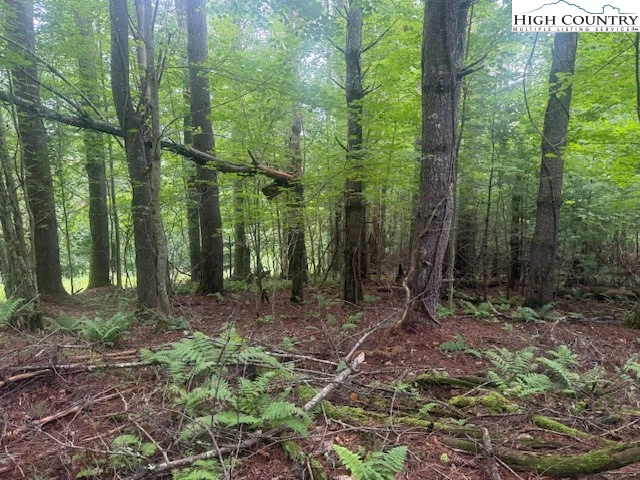 Image number 6 for the current listing