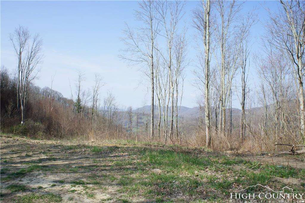 Image number 1 for the current listing