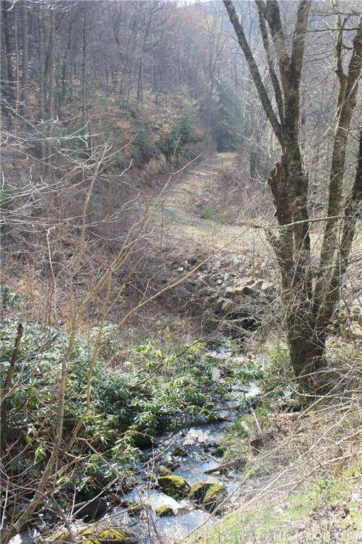 Image number 9 for the current listing