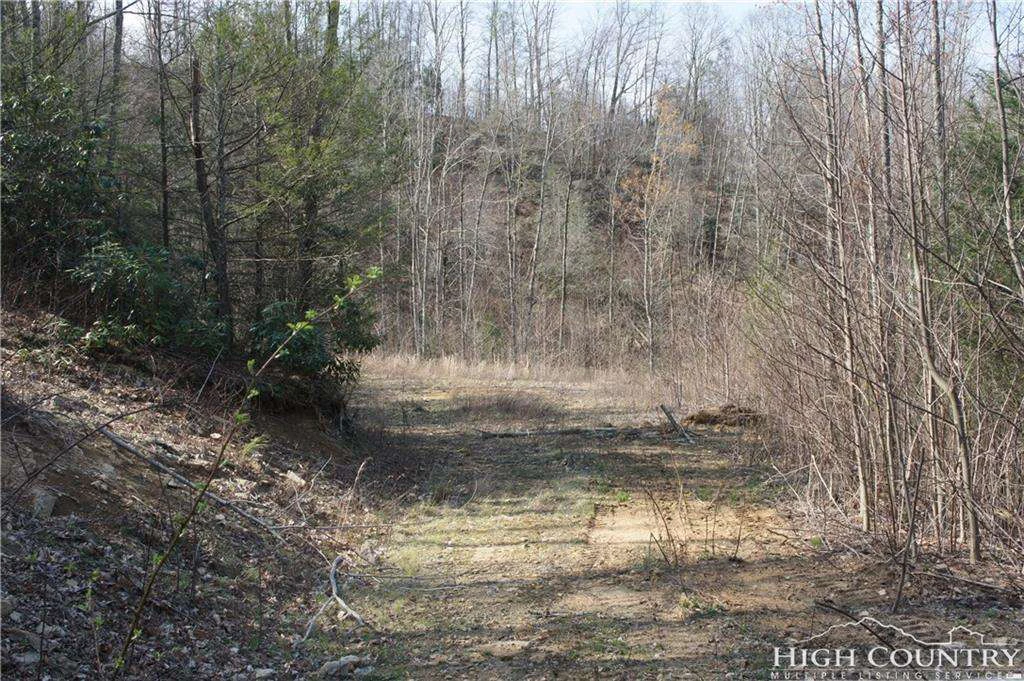 Image number 8 for the current listing