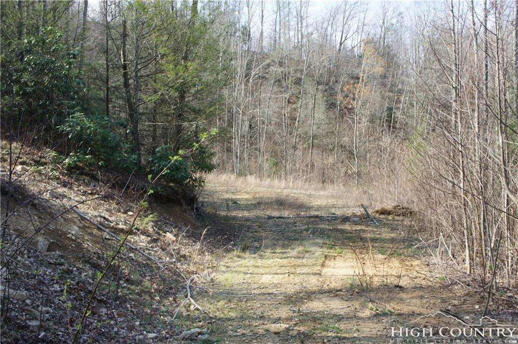 Image number 7 for the current listing