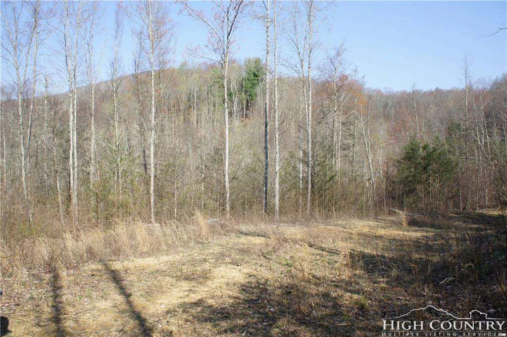 Image number 4 for the current listing