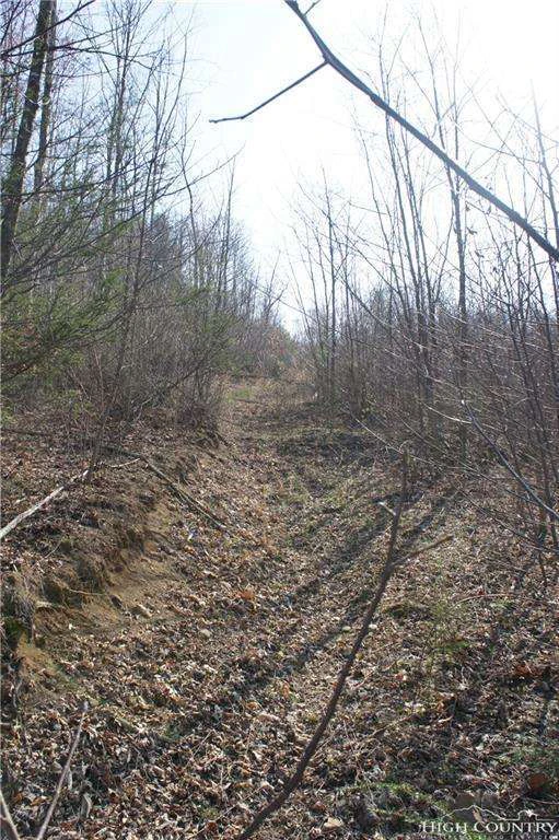 Image number 3 for the current listing