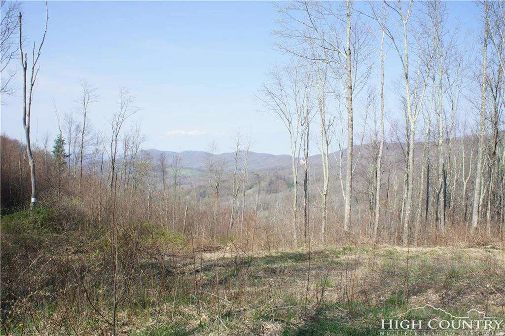 Image number 17 for the current listing