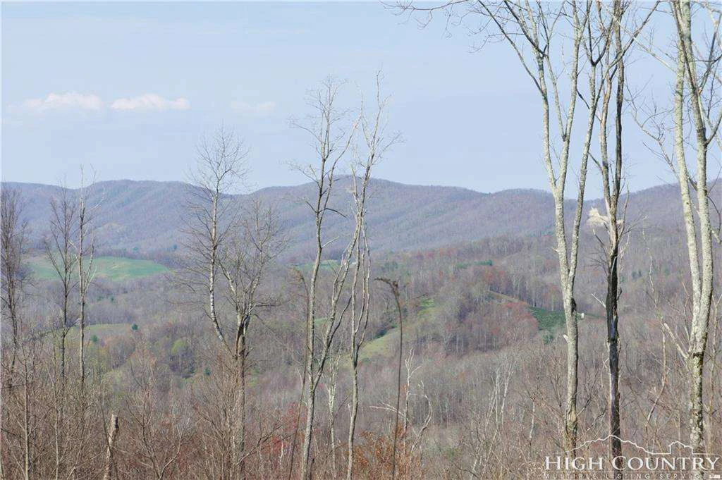 Image number 16 for the current listing