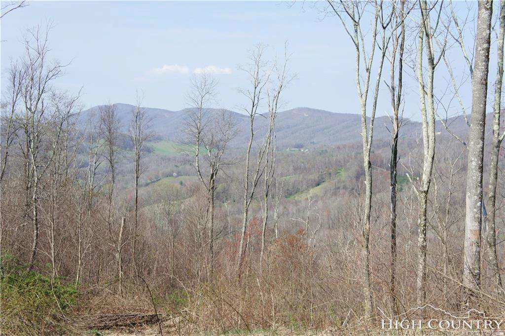 Image number 15 for the current listing