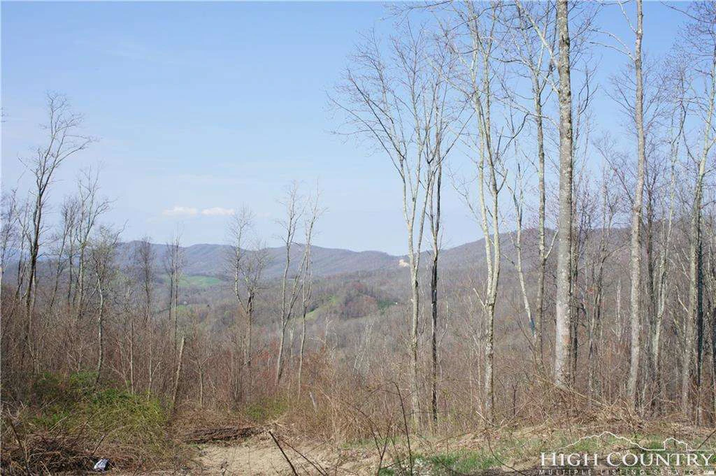 Image number 14 for the current listing
