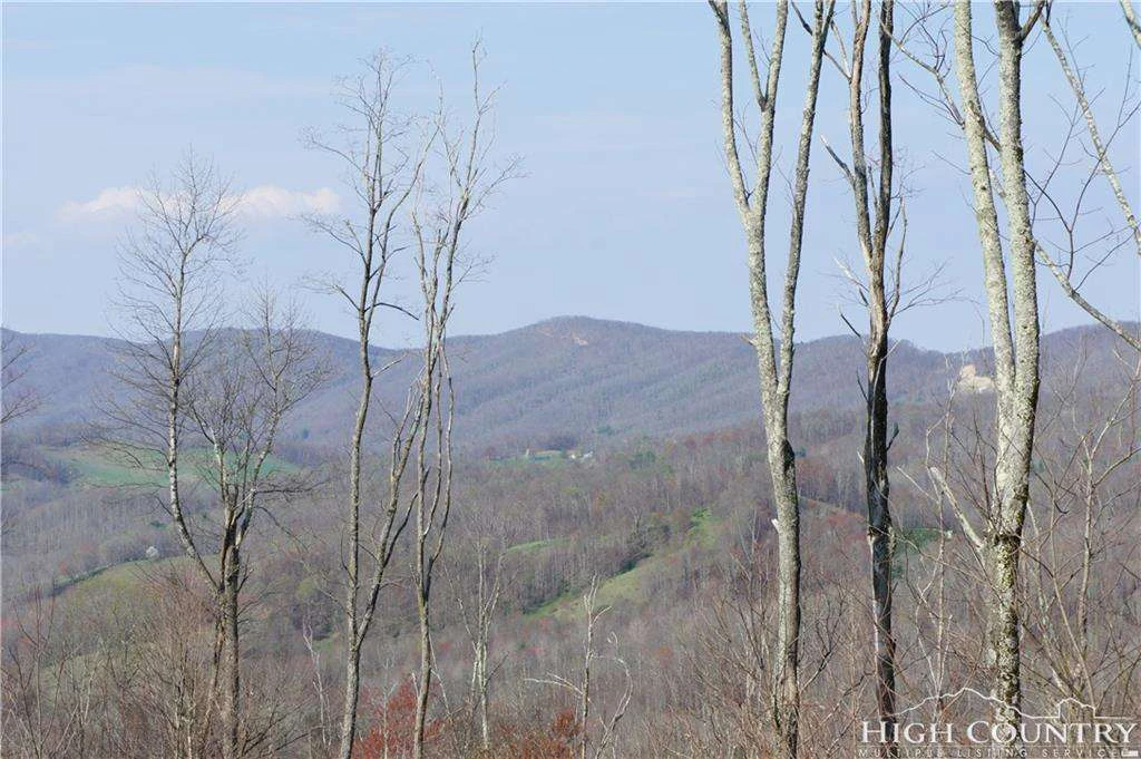 Image number 13 for the current listing