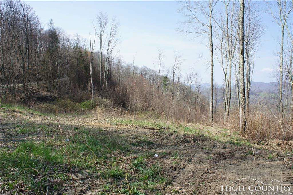 Image number 12 for the current listing