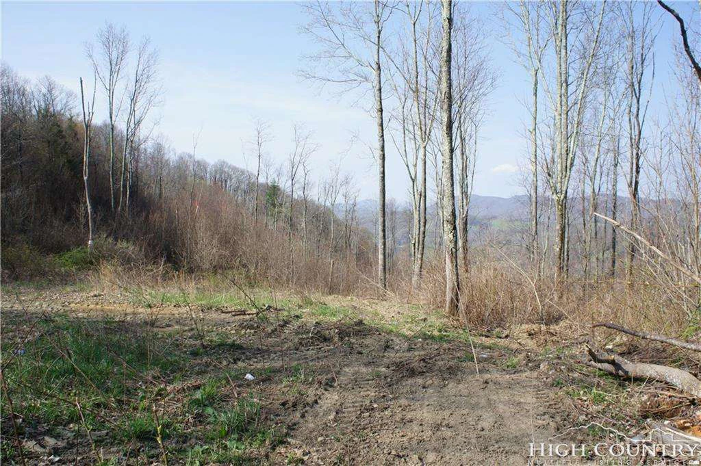 Image number 11 for the current listing