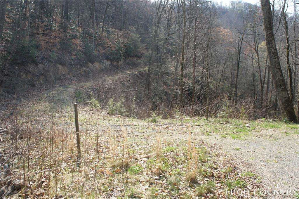 Image number 2 for the current listing