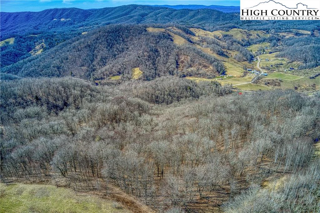 Image number 1 for the current listing