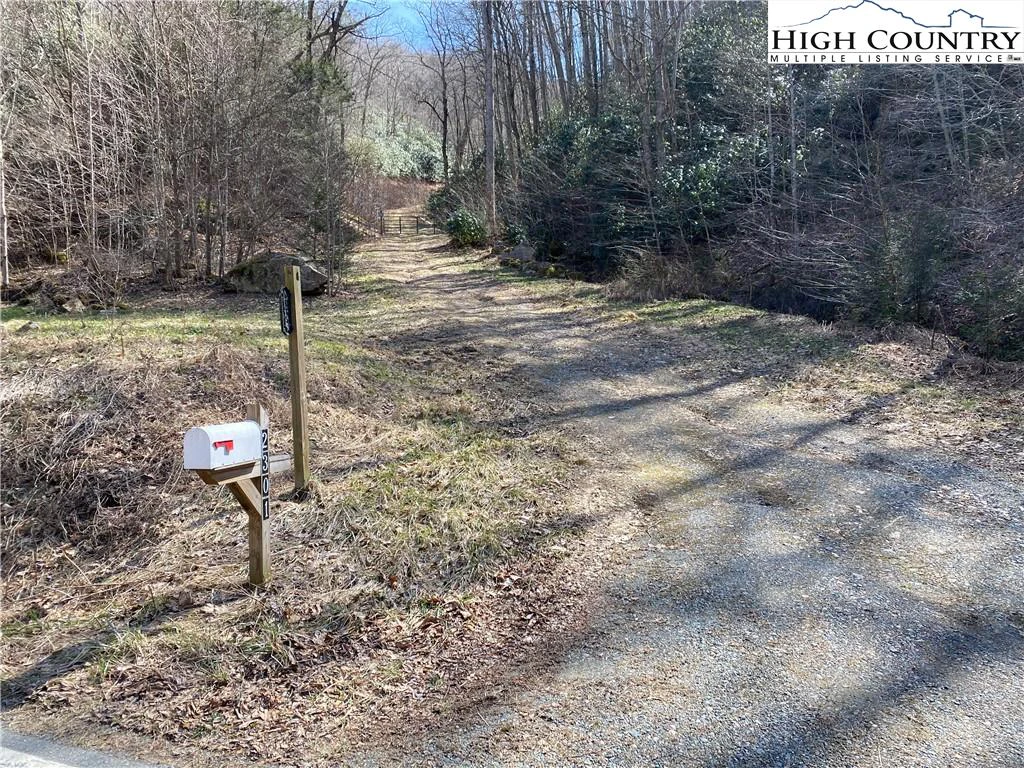 Image number 12 for the current listing