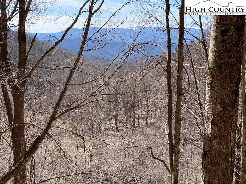 Image number 3 for the current listing