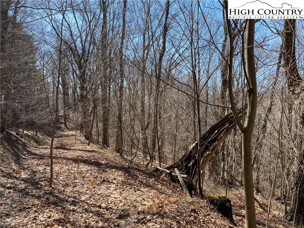 Image number 6 for the current listing