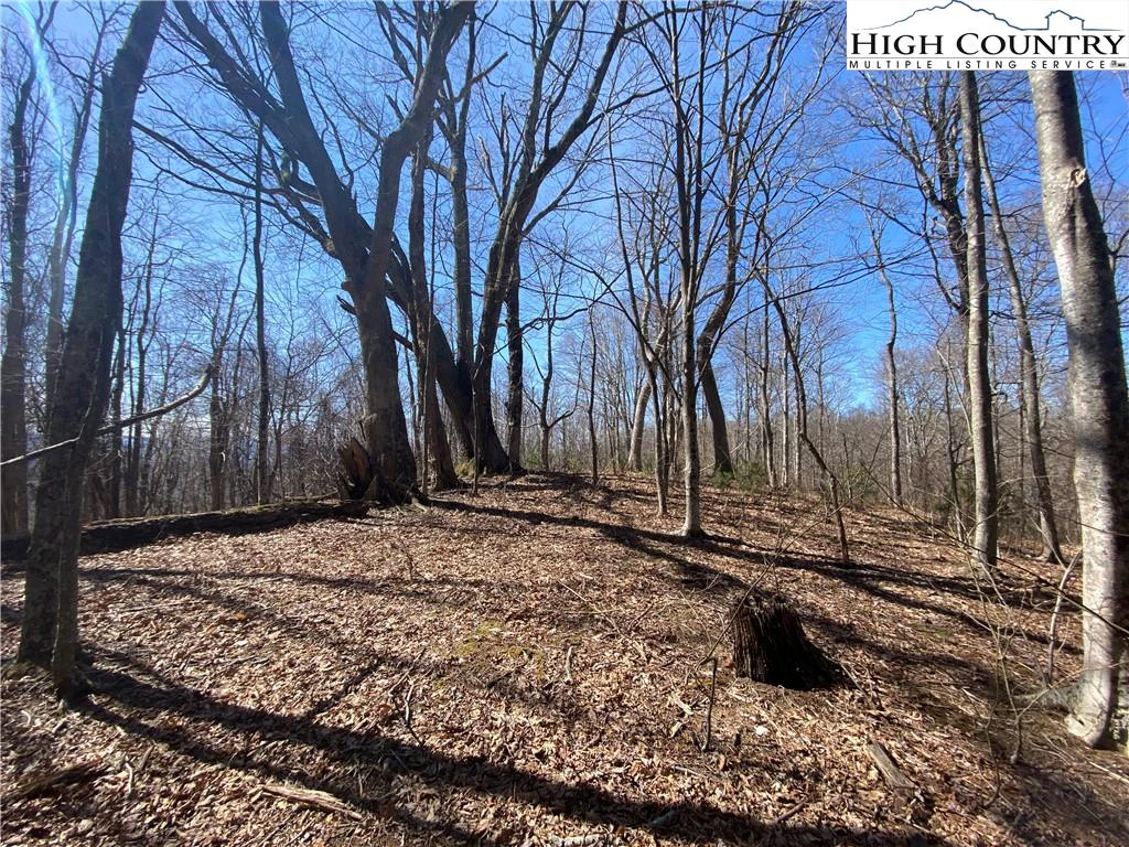 Image number 8 for the current listing