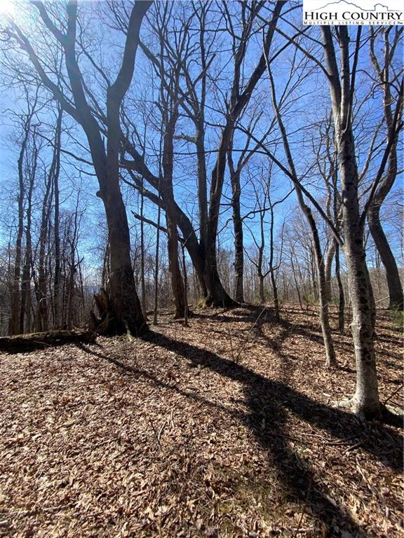 Image number 9 for the current listing