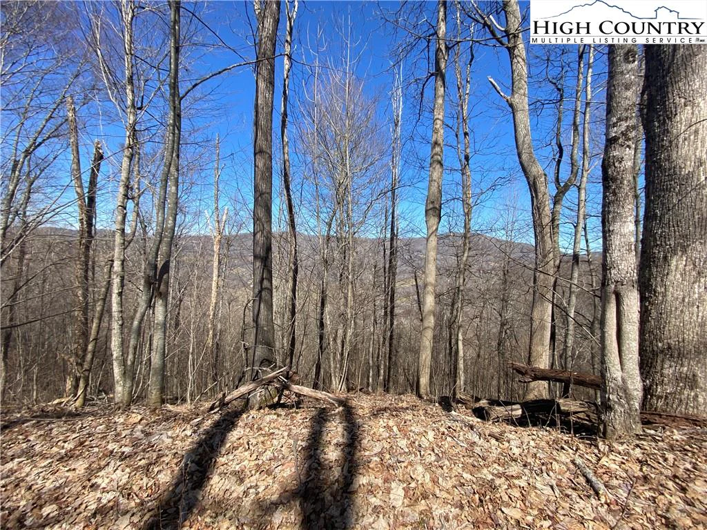 Image number 11 for the current listing