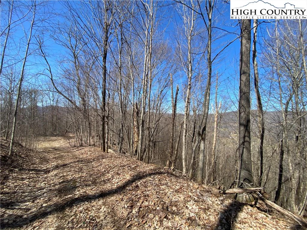 Image number 2 for the current listing