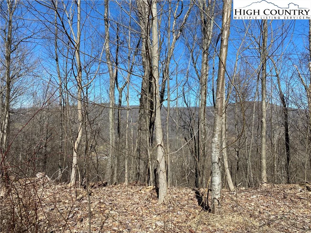Image number 13 for the current listing