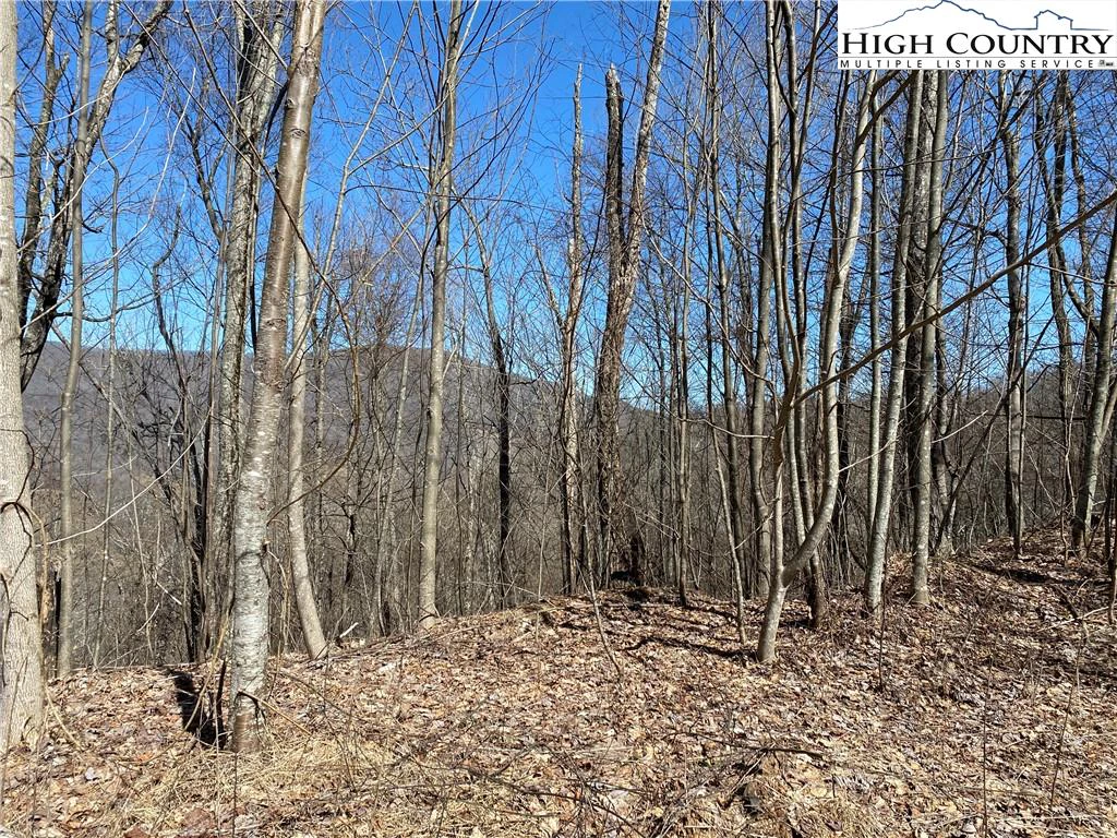 Image number 14 for the current listing
