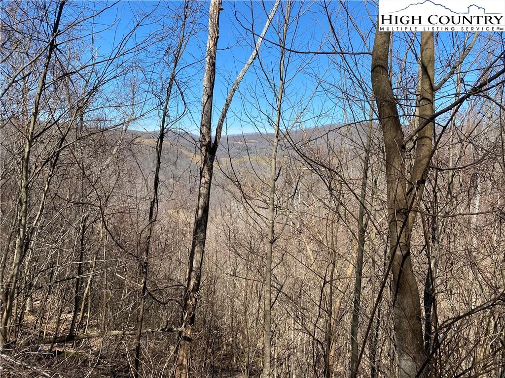 Image number 16 for the current listing