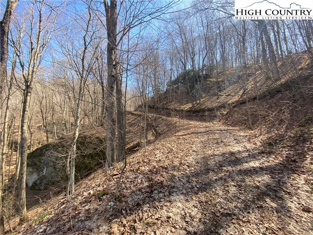 Image number 21 for the current listing