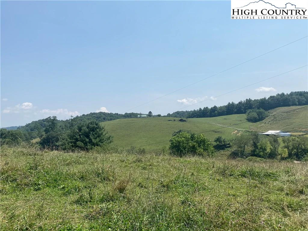 Image number 1 for the current listing